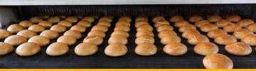 The Ethics Behind Food Grade Lubricant - Our Vision